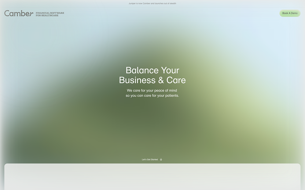 Screenshot of Camber Health website}